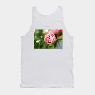 Pink Striped Rose Tank Top